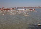 300 учесника пливало је за часни Крст у Земуну