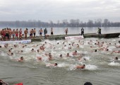 Swimming for the Holy Cross in Zemun