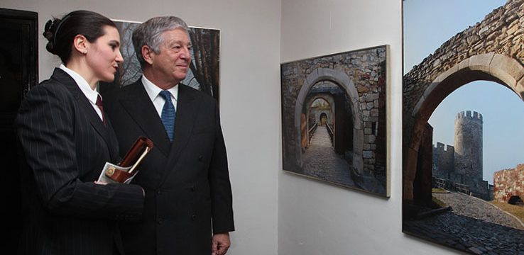 NJ.K.V. Prestolonaslednik Aleksandar i g-đa Katarina Petrović