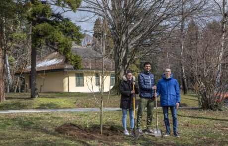 Reprezentativci Srbije u atletici Anja Lukić, Elzan Bibić i Boško Kijanović posadili su memorijalno drvo za Svetsko prvenstvo u dvorani na Kraljevskom kompleksu.