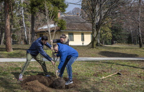 Reprezentativci Srbije u atletici Anja Lukić, Elzan Bibić i Boško Kijanović posadili su memorijalno drvo za Svetsko prvenstvo u dvorani na Kraljevskom kompleksu.