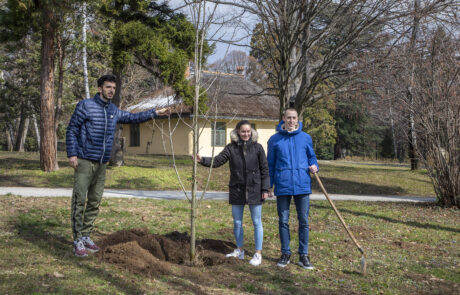 Reprezentativci Srbije u atletici Anja Lukić, Elzan Bibić i Boško Kijanović posadili su memorijalno drvo za Svetsko prvenstvo u dvorani na Kraljevskom kompleksu.