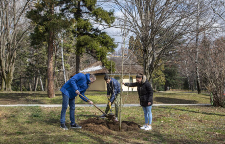 Reprezentativci Srbije u atletici Anja Lukić, Elzan Bibić i Boško Kijanović posadili su memorijalno drvo za Svetsko prvenstvo u dvorani na Kraljevskom kompleksu.