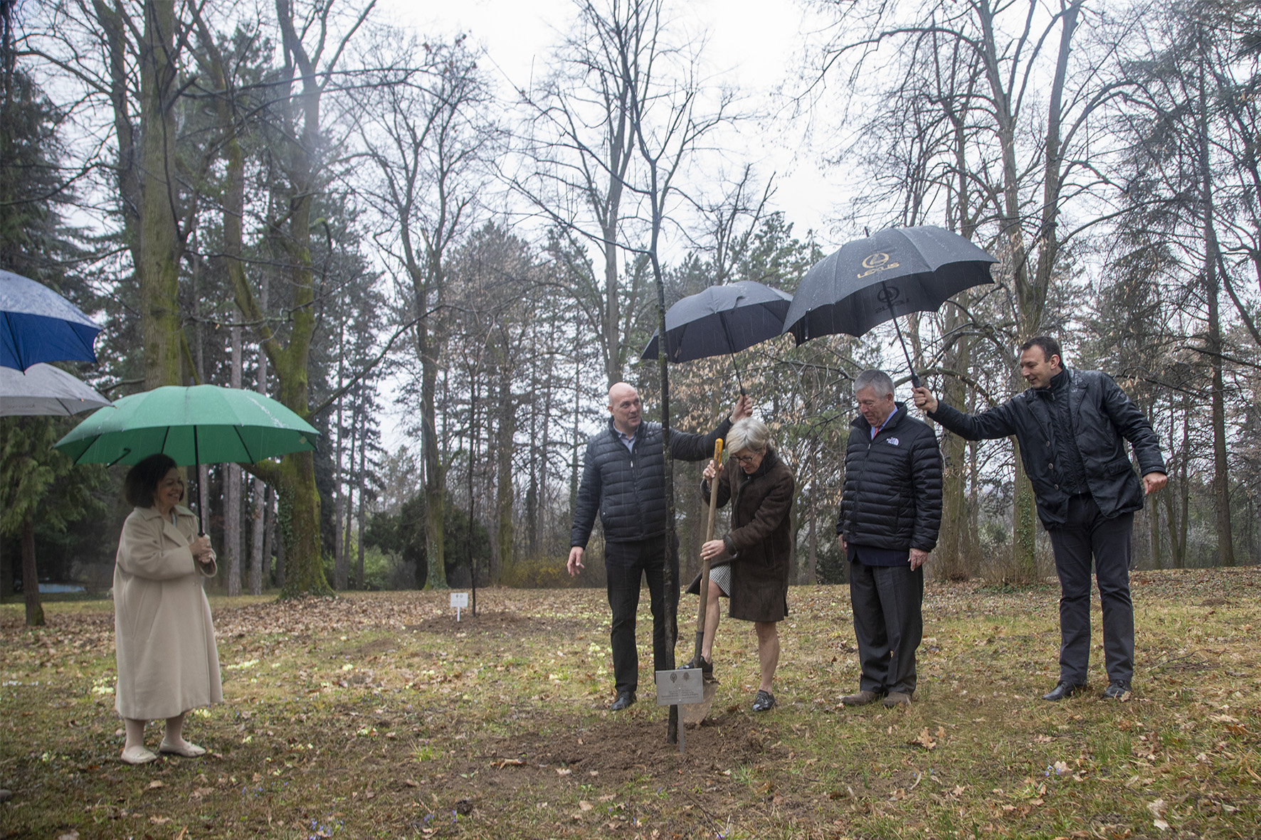 The Ambassador of the Kingdom of Belgium in Serbia, HE Mrs. Cathy Buggenhout, planting a tree at the Royal Compound
