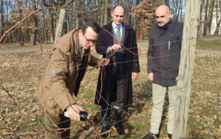 HEREDITARY PRINCE PHILIP CELEBRATES SAINT TRIFUN IN THE ROYAL TOPOLA VINEYARDS