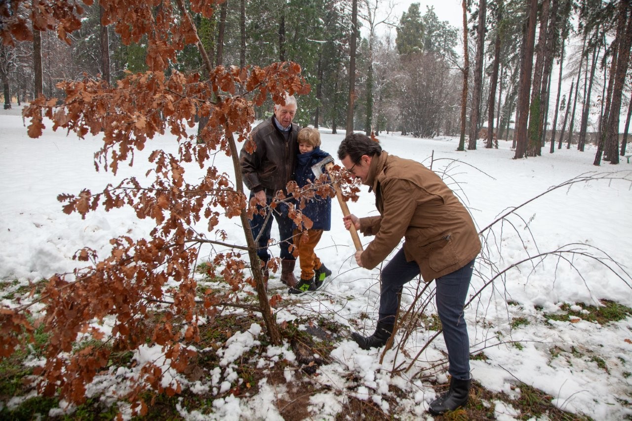 BADNjE VEČE U KRALjEVSKOM DVORU – POŠTOVANjE STARE TRADICIJE CHRISTMAS EVE AT THE ROYAL PALACE – FOLLOWING OLD TRADITIONS