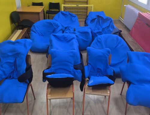 LAJFLAJN ČIKAGO NASTAVLJA PODRŠKU ŠKOLI IVO LOLA RIBAR U KRALJEVU